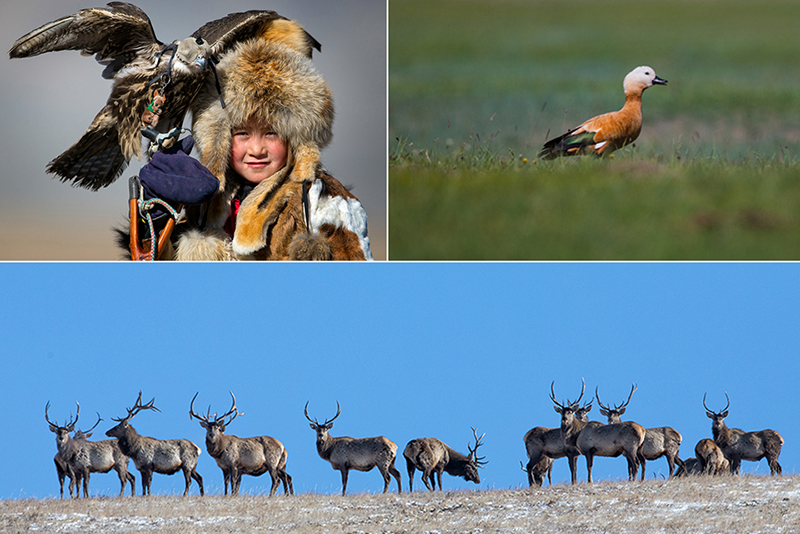 Events and Festivals in Mongolia 